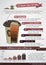 Type of coffee infographic and coffee cup Element