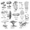 Type different mushroom. Vintage engraving monochrome black illustration