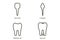 Type of tooth  incisor, canine, premolar, molar