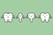 Type of tooth, incisor, canine, premolar, molar