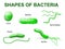 Types of bacteria. Basic morphological