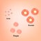 Types of blackheads, pustule, acne. Scarred skin after acne and acne. Infographics. Vector illustration on isolated