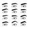 Types of eyebrows set vector illustration