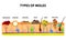 Types of moles. Nevus, pigment spot, papilloma, wart, keratoma, atheroma, hemangeoma. Mole. Anatomical structure of the