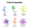 Types of neurons.