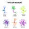 Types of neurons. Structure sensory, motor neuron, astrocyte, pyromidal, Betz cell, microglia. Set. Infographics. Vector