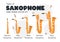 Types of saxophone clipart cartoon style. Soprano, alto, tenor, baritone, bass saxophone types flat vector illustration