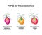 Types Trichomonads. Intestinal, oral, vaginal trichomonas structure. Trichomoniasis. Urogenital infection. Infographics. Vector