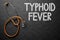 Typhoid Fever Handwritten on Chalkboard. 3D Illustration.