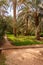 A typical African oasis in a Sahara desert, Morocco. Ecological, extensive agriculture