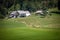 Typical agricultural landscape with a barn and farms in a field with a grass pasture meadow with cows bovine livestock