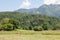 Typical agricultural landscape with Cows lounging in a grass pasture meadow in Bohinj, Slovenia, in front of the Julian Alps.