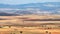 Typical Agricultural Landscape in Teruel, Spain