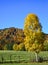 Typical alpine landscape shot in Austria