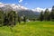 Typical alpine landscape in Spring