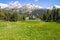 Typical alpine landscape in Spring