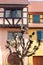 Typical Alsatian architecture - Colmar - France 006