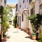 Typical Andalucia Spain old village town whitewashed houses town street