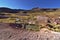 Typical andean desert vegetation near small lake under early mor