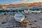 Typical Apulian Wooden Boat At Old Harbour Of Bisceglie At Sunset- Puglia - Apulia - Italy