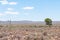 Typical arid Karoo landscape