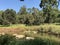 Typical Australian Bush waterhole or creek