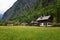 Typical Austrian Alpine houses with bright flowers, Hallstatt, Austria, Europe