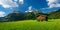 Typical Austrian Alps Landscape with Meadows, Wooden Barn and Mountain