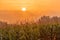 A typical autumn golden coloured sunrise seen from one of the hills outside Maastricht with a view over one of the many corn meado