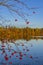 Typical autumn landscape in Trebonsko region in Southern Bohemia, Czech Republic