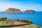 Typical backyard of Terceira island with cows beside the Atlantic Ocean overlooking the islet of Cabras, Azores PORTUGAL