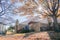 Typical backyard of townhomes with thick carpet of dried leaves near Dallas, Texas