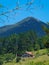 Typical Basque landscape in the Biosphere Reserve of Urdaibai, house