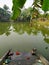 A typical Bengali type pond with steps leading to it at Joygopalpur in West Bengal, India- 9th Feb 2018