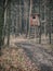 Typical brown wooden German hunter seat in the forest