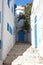 Typical building with white walls, blue doors and windows in Sidi Bou Said, Tunisia