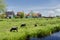 Typical buildings and windmills at Zaanse Schans, Amsterdam, Holland