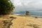 Typical Caribbean coast of Costa Rica in Central America, Manzanillo or Cahuita area, rainy or dry season, palm trees, sandy beach
