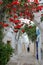 Typical cobbled and narrow street with colorful doors, arcades and colorful flowers inside the historical medina of Tunis