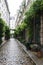 typical cobblestone alley with green vegetation in Paris