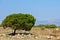 Typical cyprus landscape