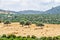 Typical cyprus rural landscape