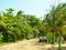 Typical dirt road corn island nicaragua