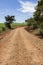 Typical dirt road found in the interior of the State of Sao Paulo. The location is close to the Sao Lourenco river