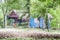 Typical Dominican country house surrounded by vegetation with beautiful green tones, painted blue and covered with palm tree