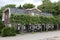 Typical dutch house with trained lime trees