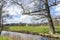 A typical Dutch landscape with old trees, grassland and in the distance the old country house Huis te Vogelenzang near Bennebroek,