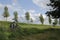 typical dutch landscape with two bicycles at a green dike at a stormy day in spring