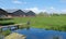 Typical dutch panorama landscape with cows and grass, beautiful blue sky and white clouds.