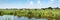 Typical Dutch panorama landscape with cows, grassland, trees, blue sky and white clouds